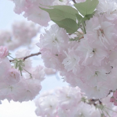 呼图壁FurryQQ群介绍